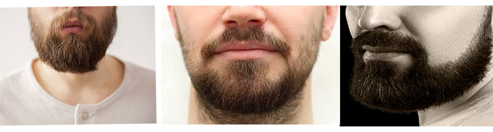 Latest French Beard Styles