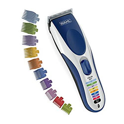 Wahl Color Pro Cordless – Best Budget Buy